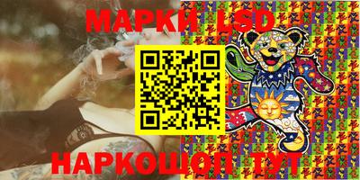 шишки Изобильный