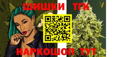 шишки Изобильный