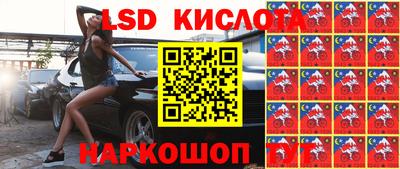 шишки Изобильный