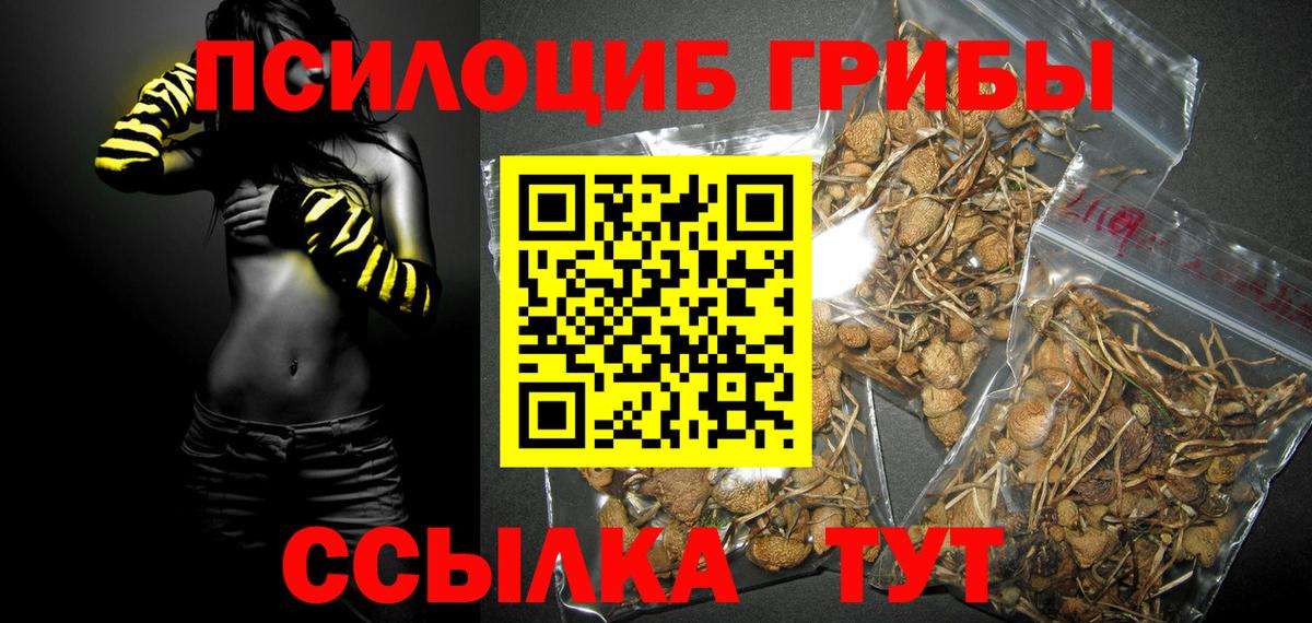 Псилоцибиновые грибы MAGIC MUSHROOMS  наркотики  Кушва  Вход с VPN  Галлюциногенные грибы ЛСД 